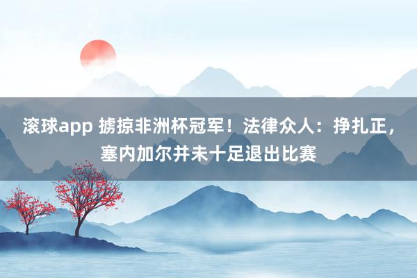 滚球app 掳掠非洲杯冠军！法律众人：挣扎正，塞内加尔并未十足退出比赛