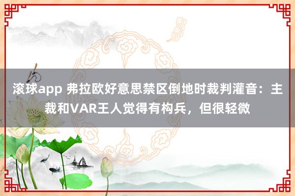 滚球app 弗拉欧好意思禁区倒地时裁判灌音：主裁和VAR王人觉得有构兵，但很轻微