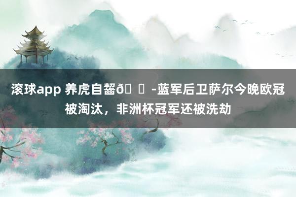 滚球app 养虎自齧😭蓝军后卫萨尔今晚欧冠被淘汰，非洲杯冠军还被洗劫