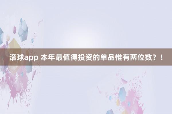 滚球app 本年最值得投资的单品惟有两位数？！