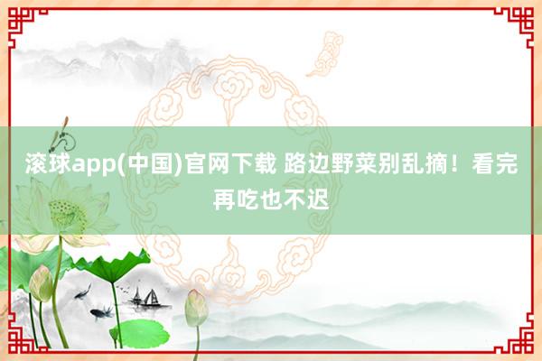滚球app(中国)官网下载 路边野菜别乱摘！看完再吃也不迟