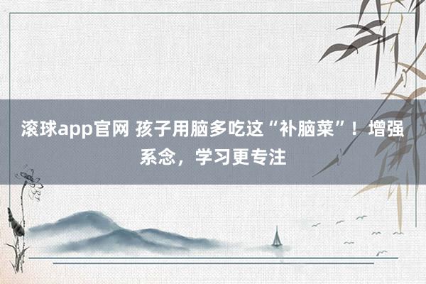 滚球app官网 孩子用脑多吃这“补脑菜”！增强系念，学习更专注