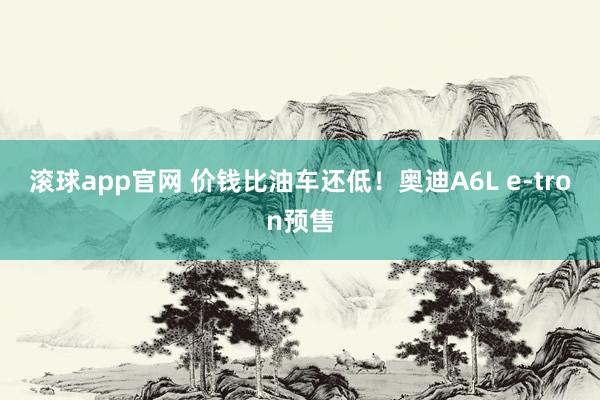 滚球app官网 价钱比油车还低！奥迪A6L e-tron预售