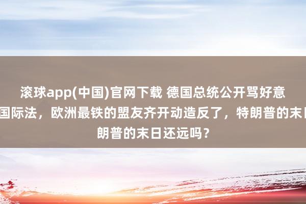 滚球app(中国)官网下载 德国总统公开骂好意思国违背国际法，欧洲最铁的盟友齐开动造反了，特朗普的末日还远吗？
