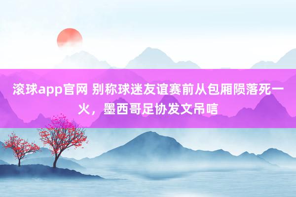 滚球app官网 别称球迷友谊赛前从包厢陨落死一火，墨西哥足协发文吊唁
