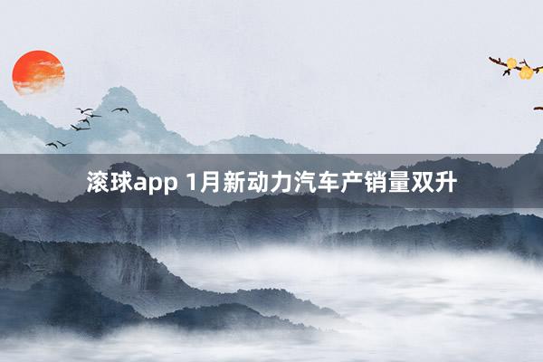 滚球app 1月新动力汽车产销量双升