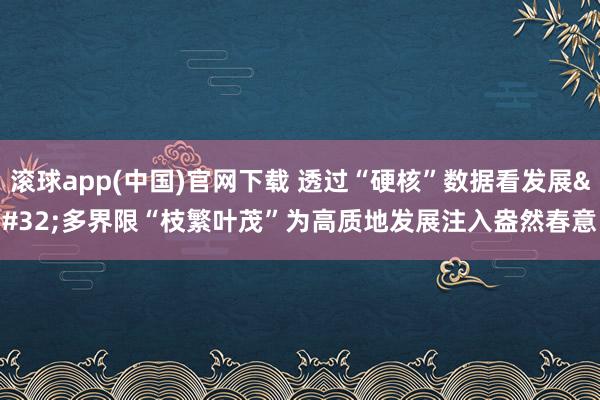 滚球app(中国)官网下载 透过“硬核”数据看发展 多界限“枝繁叶茂”为高质地发展注入盎然春意