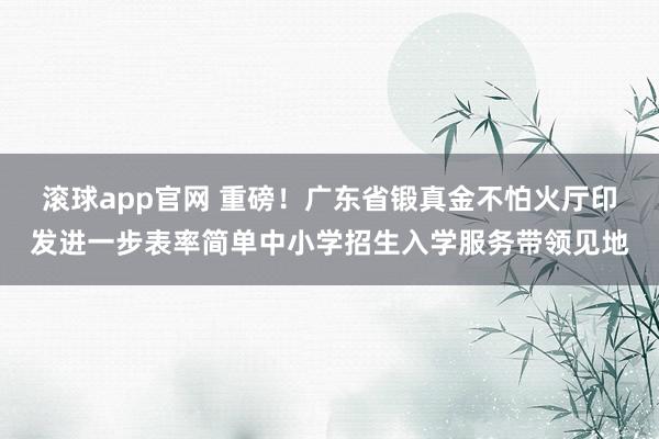 滚球app官网 重磅！广东省锻真金不怕火厅印发进一步表率简单中小学招生入学服务带领见地