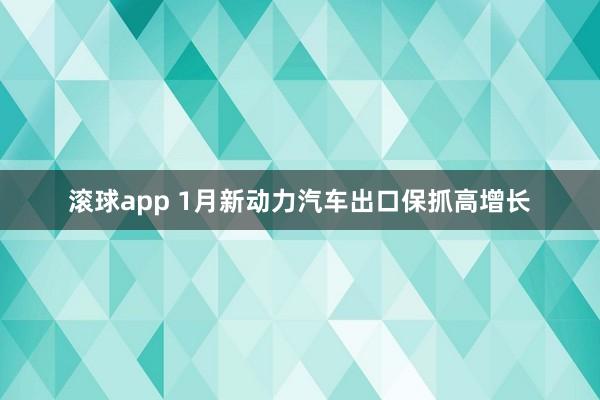 滚球app 1月新动力汽车出口保抓高增长
