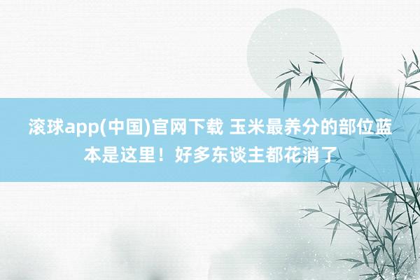 滚球app(中国)官网下载 玉米最养分的部位蓝本是这里！好多东谈主都花消了
