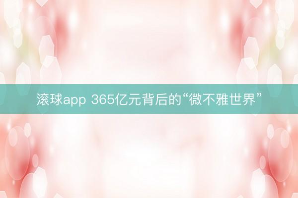 滚球app 365亿元背后的“微不雅世界”