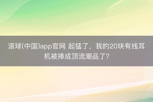 滚球(中国)app官网 起猛了,我的20块有线耳机被捧成顶流潮品了?