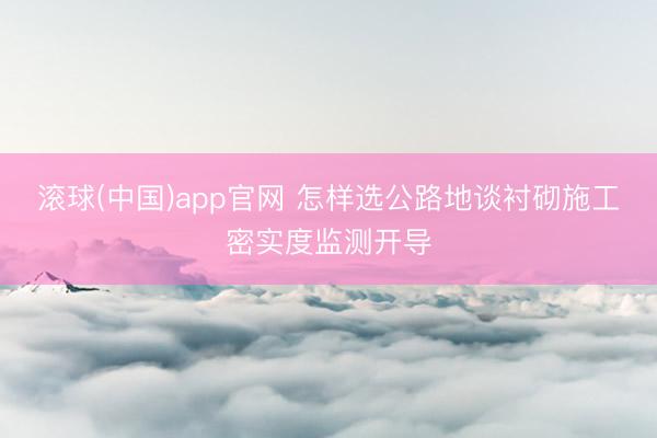 滚球(中国)app官网 怎样选公路地谈衬砌施工密实度监测开导