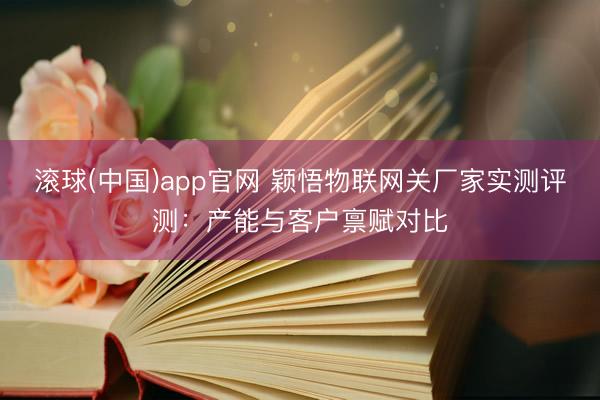 滚球(中国)app官网 颖悟物联网关厂家实测评测:产能与客户禀赋对比