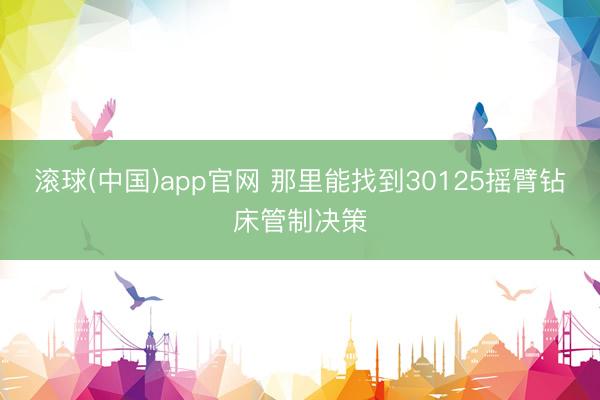 滚球(中国)app官网 那里能找到30125摇臂钻床管制决策