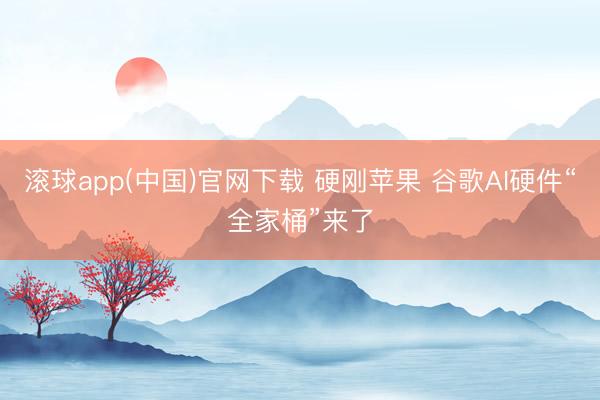 滚球app(中国)官网下载 硬刚苹果 谷歌AI硬件“全家桶”来了