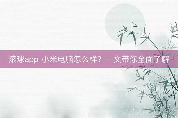 滚球app 小米电脑怎么样?一文带你全面了解
