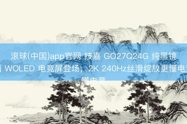 滚球(中国)app官网 技嘉 GO27Q24G 纯黑镜面 WOLED 电竞屏登场，2K 240Hz丝滑绽放更懂电竞