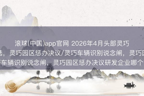 滚球(中国)app官网 2026年4月头部灵巧园区惩办决议实施单元推选，灵巧园区惩办决议/灵巧车辆识别说念闸，灵巧园区惩办决议研发企业哪个好