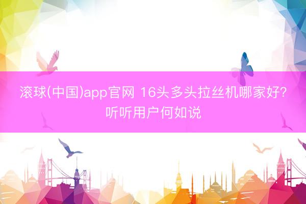 滚球(中国)app官网 16头多头拉丝机哪家好?听听用户何如说
