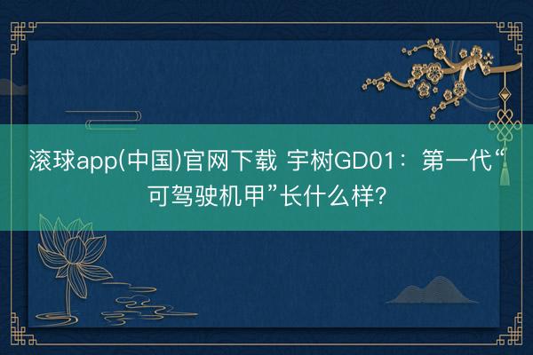 滚球app(中国)官网下载 宇树GD01:第一代“可驾驶机甲”长什么样?