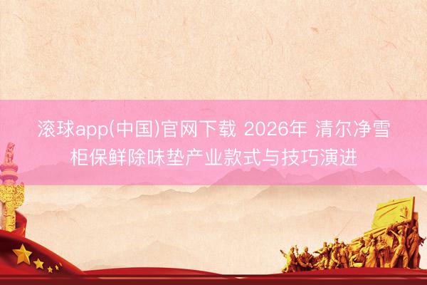 滚球app(中国)官网下载 2026年 清尔净雪柜保鲜除味垫产业款式与技巧演进