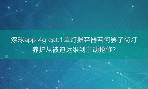 滚球app 4g cat.1单灯摒弃器若何罢了街灯养护从被迫运维到主动抢修？