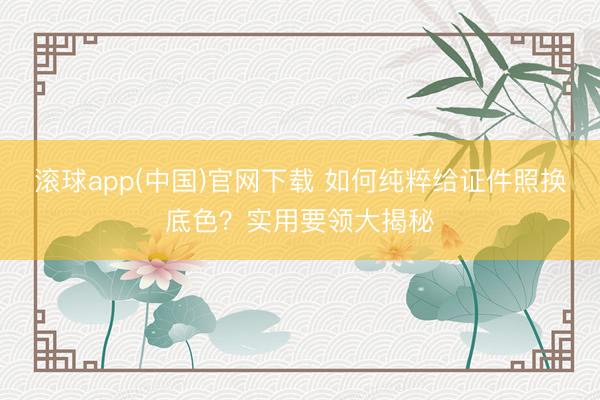 滚球app(中国)官网下载 如何纯粹给证件照换底色？实用要领大揭秘