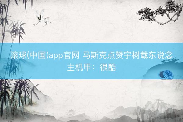 滚球(中国)app官网 马斯克点赞宇树载东说念主机甲:很酷