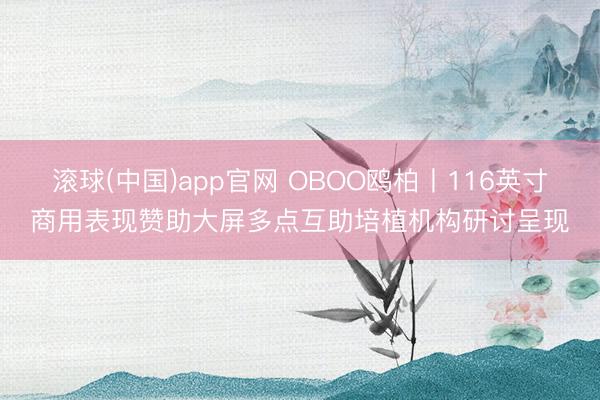 滚球(中国)app官网 OBOO鸥柏丨116英寸商用表现赞助大屏多点互助培植机构研讨呈现