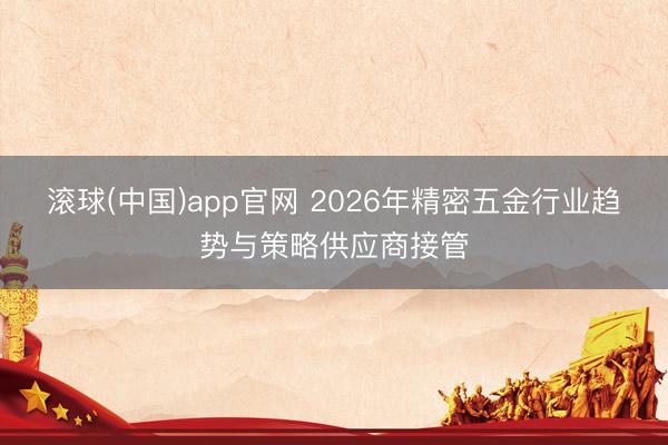 滚球(中国)app官网 2026年精密五金行业趋势与策略供应商接管