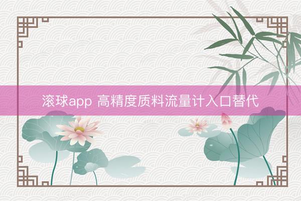 滚球app 高精度质料流量计入口替代