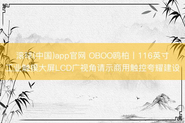 滚球(中国)app官网 OBOO鸥柏丨116英寸工业触摸大屏LCD广视角请示商用触控夸耀建设