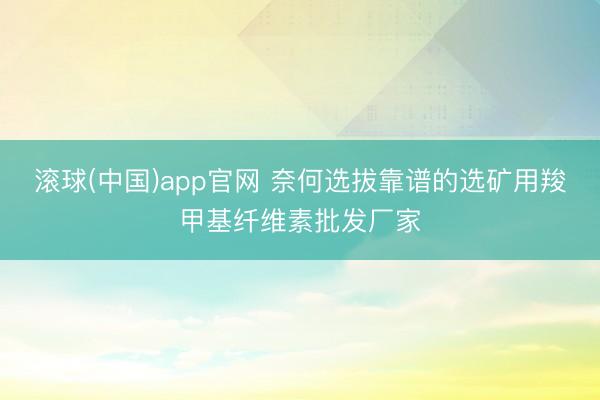 滚球(中国)app官网 奈何选拔靠谱的选矿用羧甲基纤维素批发厂家