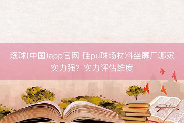 滚球(中国)app官网 硅pu球场材料坐蓐厂哪家实力强？实力评估维度