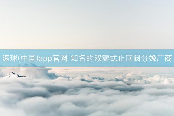 滚球(中国)app官网 知名的双瓣式止回阀分娩厂商