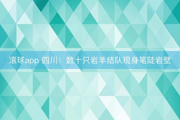 滚球app 四川：数十只岩羊结队现身笔陡岩壁