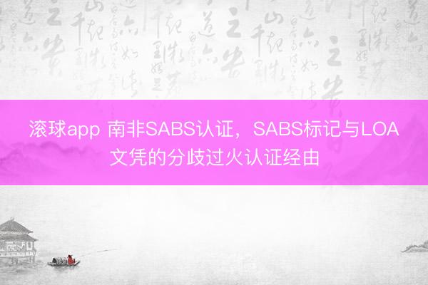 滚球app 南非SABS认证，SABS标记与LOA文凭的分歧过火认证经由