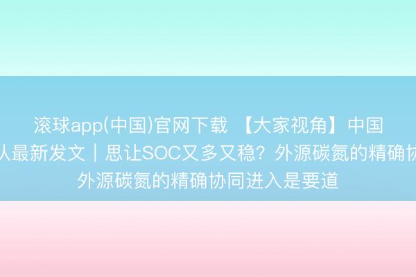 滚球app(中国)官网下载 【大家视角】中国农科院李虎团队最新发文｜思让SOC又多又稳？外源碳氮的精确协同进入是要道