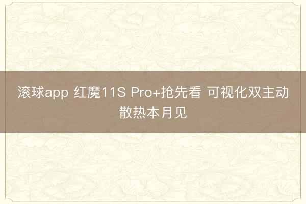 滚球app 红魔11S Pro+抢先看 可视化双主动散热本月见