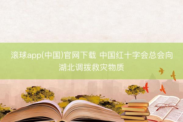 滚球app(中国)官网下载 中国红十字会总会向湖北调拨救灾物质