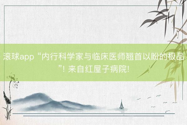 滚球app “内行科学家与临床医师翘首以盼的极品”! 来自红屋子病院!
