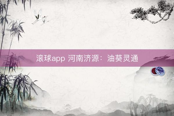 滚球app 河南济源：油葵灵通