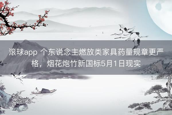 滚球app 个东说念主燃放类家具药量规章更严格，烟花炮竹新国标5月1日现实