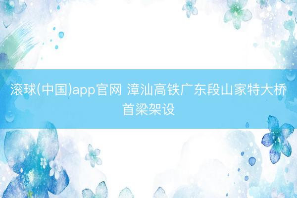 滚球(中国)app官网 漳汕高铁广东段山家特大桥首梁架设
